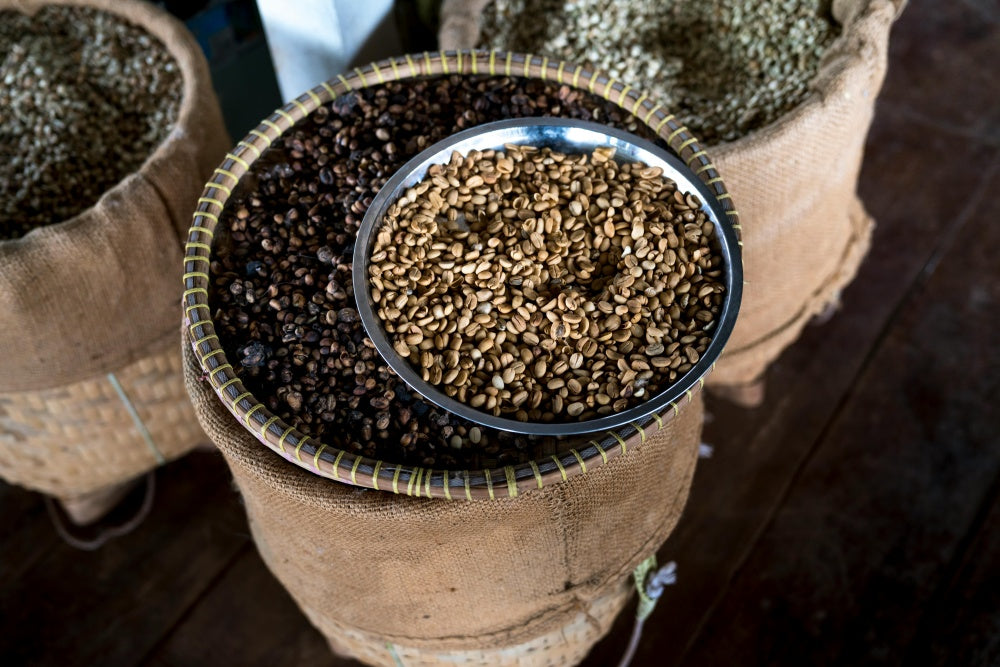 Coffee Roasts Decoded: Finding Your Perfect Brew