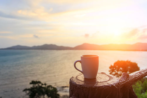 Simple Ways to Incorporate Gratitude Into Your Coffee Habit