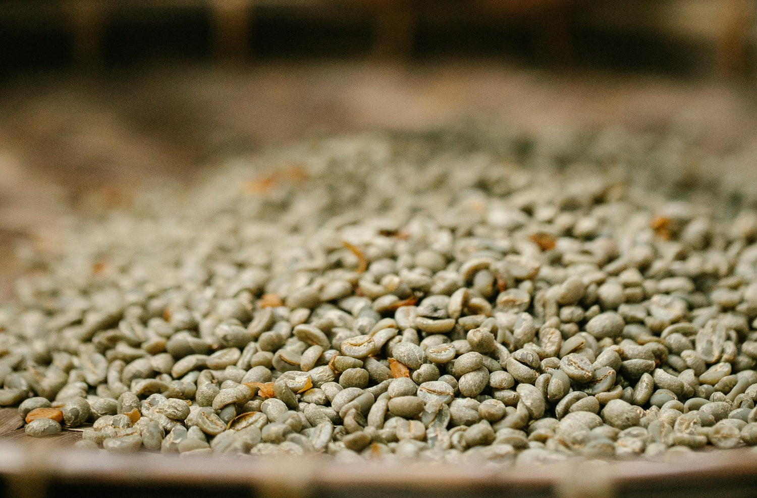 Can Organic Coffee Beans Still Have Mold?