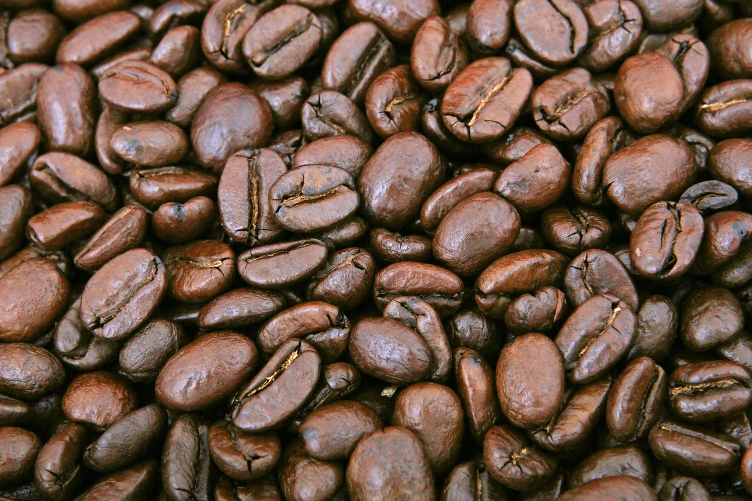 5 Reasons Whole Bean Coffee is Better than Ground Coffee